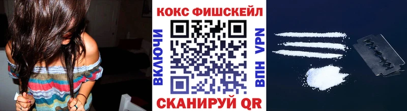 COCAIN Fish Scale  как найти наркотики  Лениногорск 