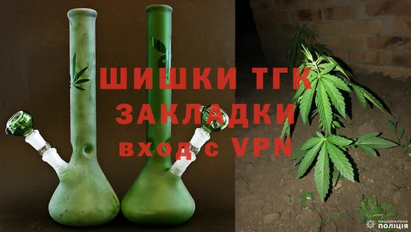 молекула духа Краснослободск