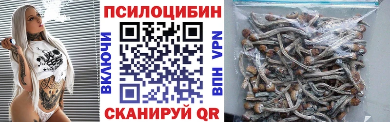 Псилоцибиновые грибы Cubensis  Лениногорск 
