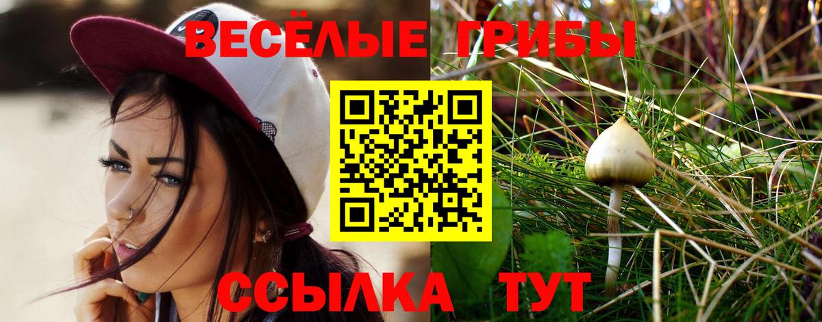 Галлюциногенные грибы MAGIC MUSHROOMS  Вход с VPN  Лениногорск 